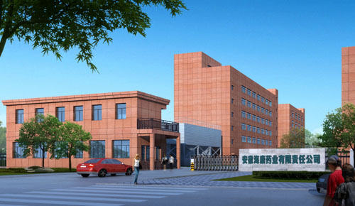 雄兴